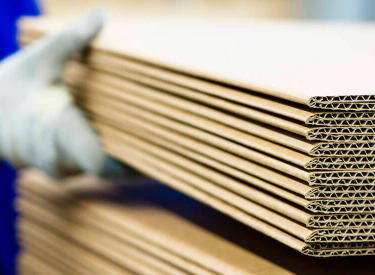 Triển vọng sáng với doanh nghiệp giấy